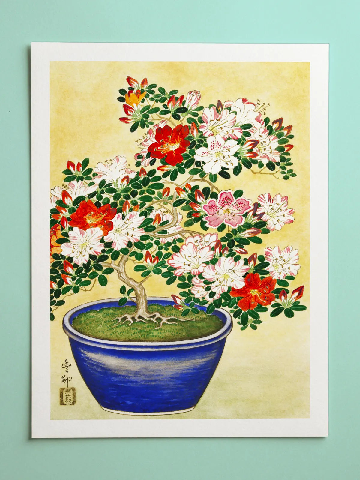 Test Beide Seiten Schatten