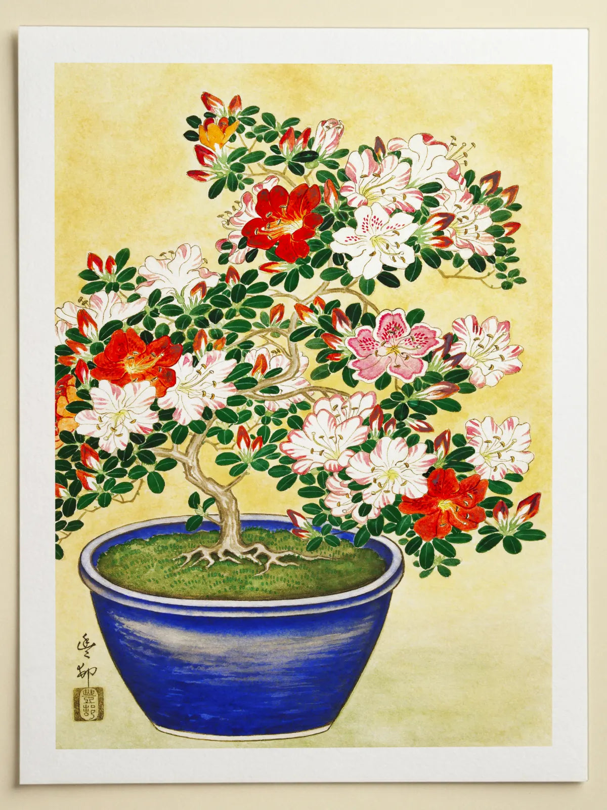 Test Beide Seiten Schatten